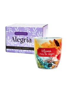 TAZAS ALEGRÍA 2025