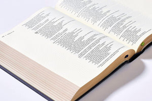 SANTA BIBLIA NUEVA VERSIÓN INTERNACIONAL EDICIÓN ARTÍSTICA- TAPA DURA