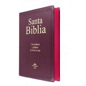 SANTA BIBLIA RV60- CONCORDANCIA Y PALABRAS DE JESÚS EN ROJO