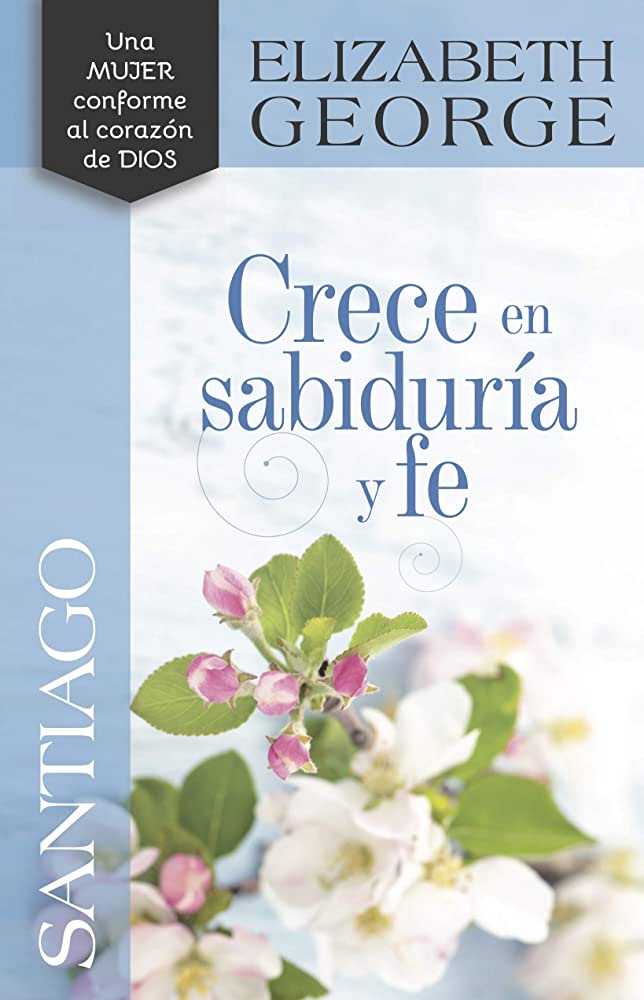 SANTIAGO CRECE EN SABIDURÍA Y FE