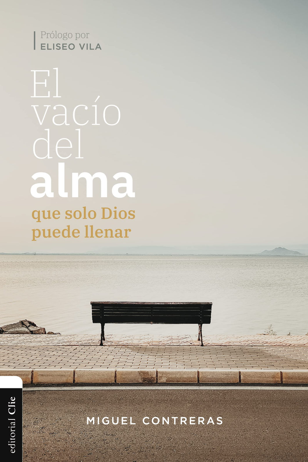 EL VACÍO DEL ALMA QUE SOLO DIOS PUEDE LLENAR
