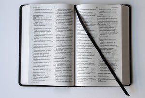 BIBLIA RVR60 LETRA GRANDE TAPA DURA LEÓN DE JUDÁ TAMAÑO MANUAL