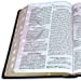 RVR60 BIBLIA PARA LA PREDICACIÓN DE AVIVAMIENTO NEGRO CON ÍNDICE