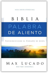 SANTA BIBLIA PALABRA DE ALIENTO, NVI