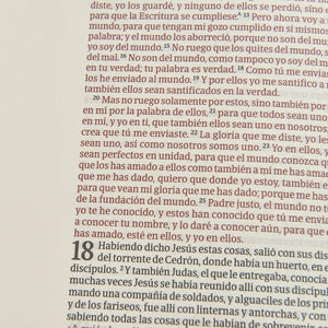 RVR 1960 BIBLIA DE APUNTES- PIEL FABRICADA Y MOSAICO CREMA Y AZUL LETRA GRANDE