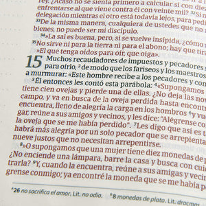NVI BIBLIA DE APUNTES- AZULEJOS COLOR SALVIA-SIMIL PIEL
