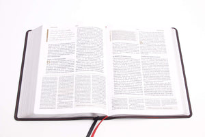 BIBLIA DE ESTUDIO SPURGEON NEGRA PIEL GENUINA