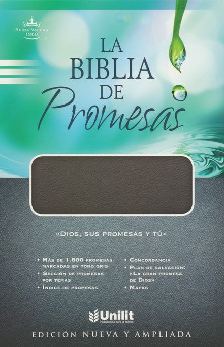 LA BIBLIA DE PROMESAS SIMIL PIEL NEGRO