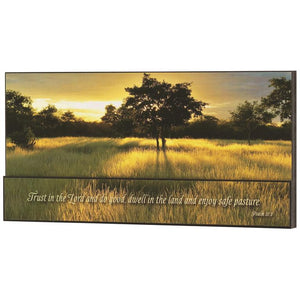 PLAQUE WALL DECOR TRUST IN THE LORD PSALM 37:3